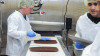 /ext/galleries/rhino-foods-burlington-vt/full/VJP_8151-slide.jpg