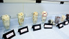 /ext/galleries/rhino-foods-burlington-vt/full/VJP_8275-slide.jpg