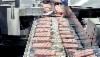 /ext/galleries/safeway-ice-cream-plant-bellevue-wash/full/VJP_6358.jpg