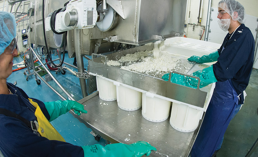 Vote for the dairy plant of the year