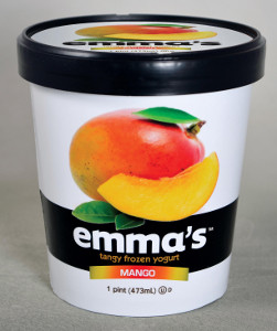 - Emmas-Mango-frozen-yogurt-300