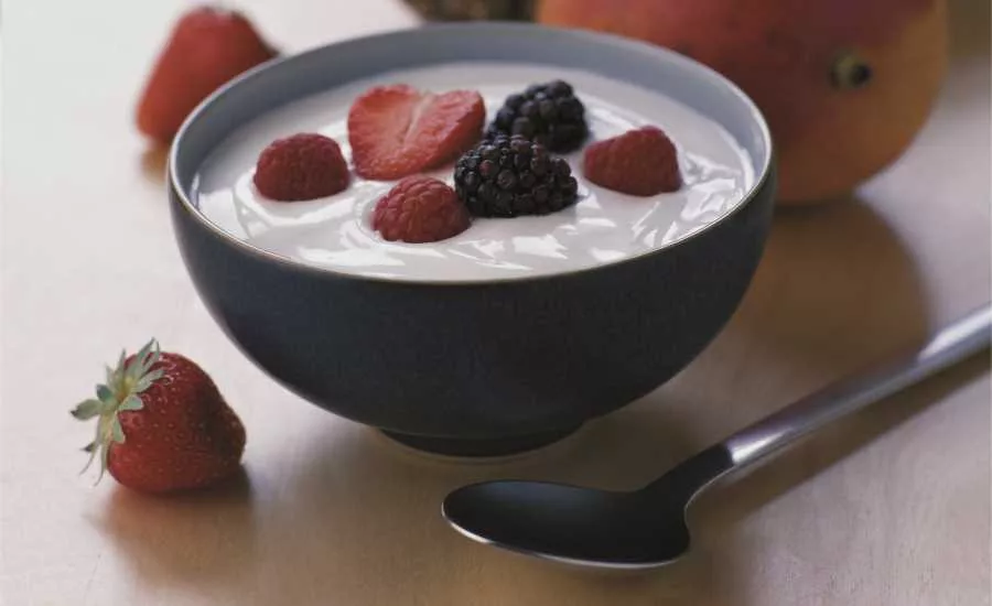 2016 07 dupont nutrition and health dairy foods yogurt white paper.webp?alt=2016 07 dupont nutrition and health dairy foods yogurt white paper