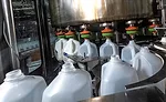 VJP_3051.jpg