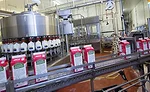 dfx0417-CloverSonoma-Plant-img1.jpg