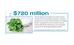 720mil.png