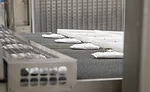 Aldens_Organic_059.jpg