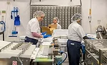 Aldens_Organic_061.jpg