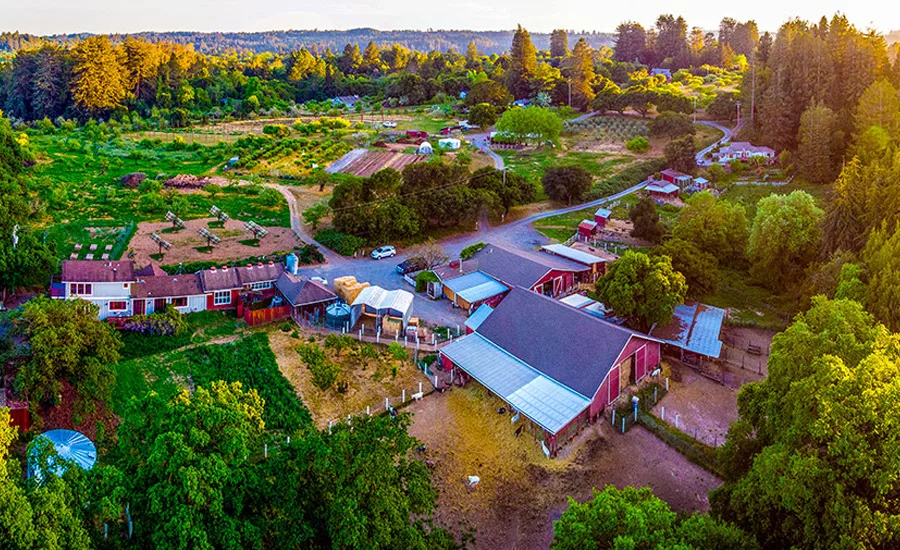 Redwood-Hill-Farm2.jpg