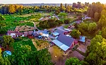 Redwood-Hill-Farm2.jpg