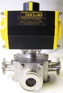 Top Line Process Equipment valve
