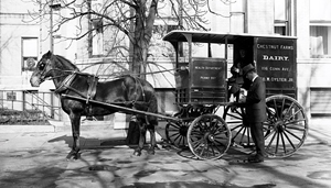 Horse and cart delivery of dairy products