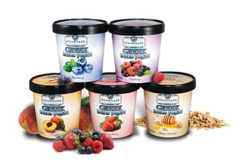 Homemade Brand frozen yogurt