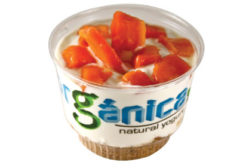 Organica yogurt