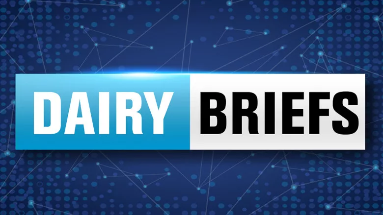 Dairy Briefs