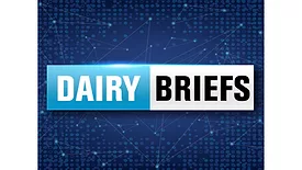 Dairy Briefs