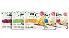 Dairy plant-based cheese blocks