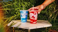 Taco Bell Island Berry Freeze