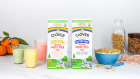 Clover the Rainbow organic whole milks
