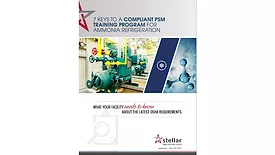 Stellar PSM e-book
