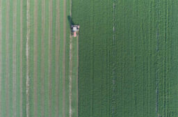 2018_cp_member_farm_aerial_harvest.jpg