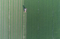 2018_cp_member_farm_aerial_harvest.jpg
