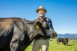 David with cow _ Lew Harrington.jpg