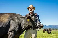 David with cow _ Lew Harrington.jpg