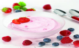 YogurtFruit-CIM057260.jpg