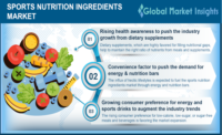 Sports Nutrition Ingredients Market.png