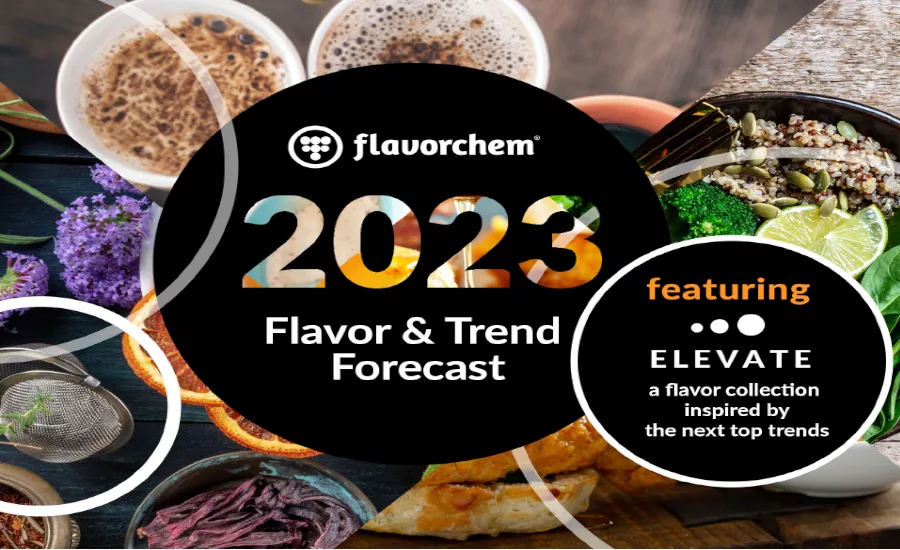 2023 Forecast Header.png