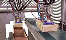 jls-cheese-case-packer.jpg