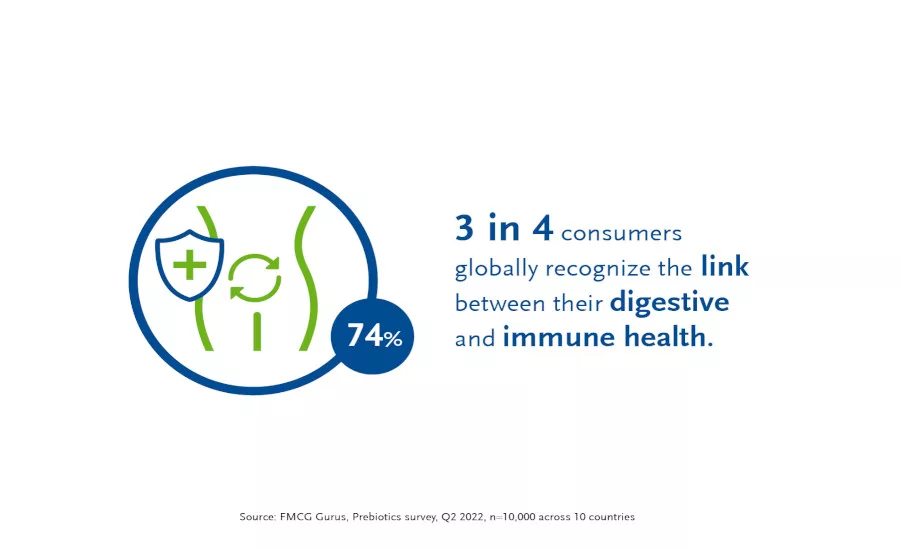 Link between digestive and immune health_©BENEO.jpeg