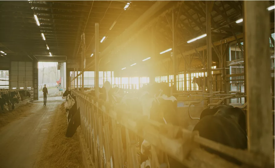 2021_cp_blog_dairy_lede_2025_wide_1.png