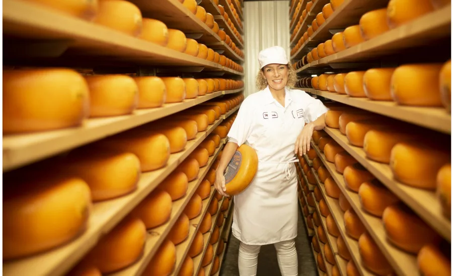 Dairy_Farmers_of_Wisconsin_Marieke_Gouda.jpg