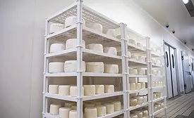cheese maturation.jpg
