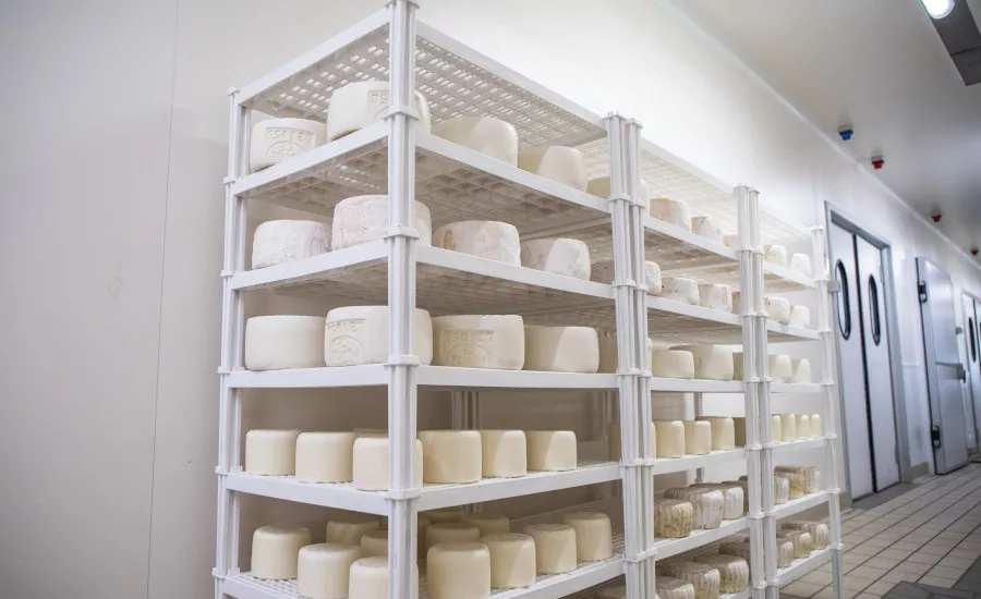 cheese maturation.jpg