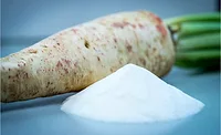 Chicory root and powder BENEO.jpg