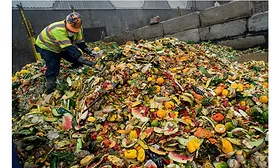 Schreiber Foods purchases carbon credits