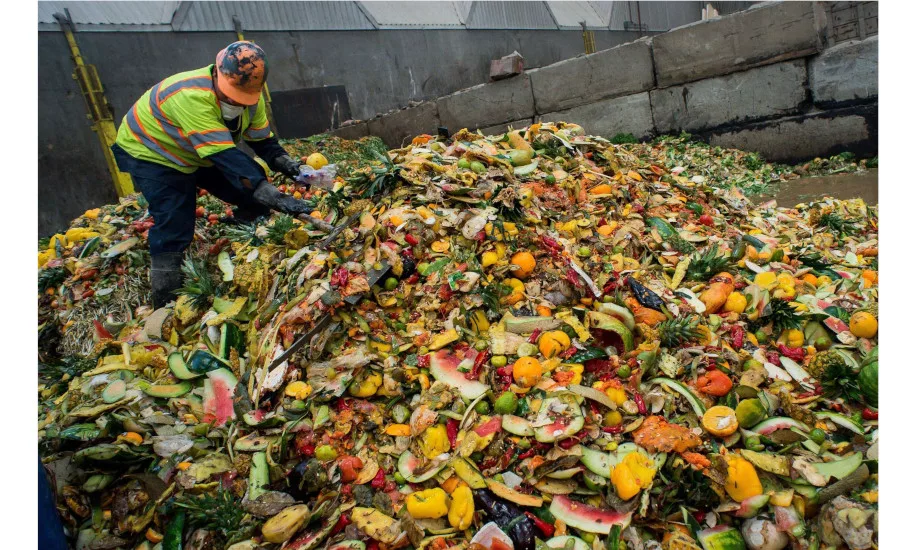 Schreiber Foods purchases carbon credits