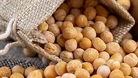 Yellow peas Yellow peas