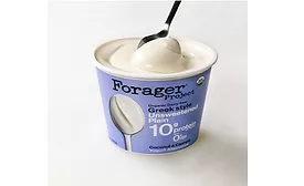 Forager Project Greek Style Yogurt