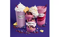 Summer Blueberry Collection