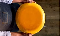 IFF Choozit Lift.png IFF CHOOZIT Lift for Cheesemaking