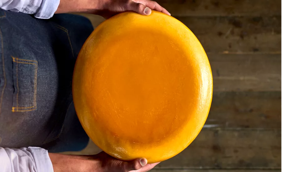 IFF CHOOZIT Lift for Cheesemaking