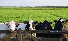 United Dairy announces expansion