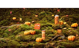 Chobani bringing back fall flavors
