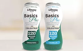 Lifeway Basics makes its return