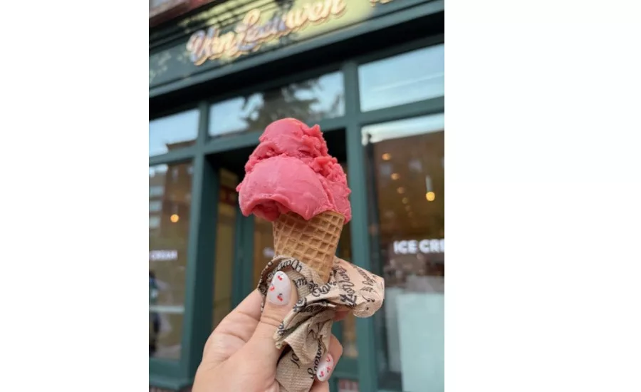 Van Leeuwen new sorbet