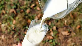 Glass of milk