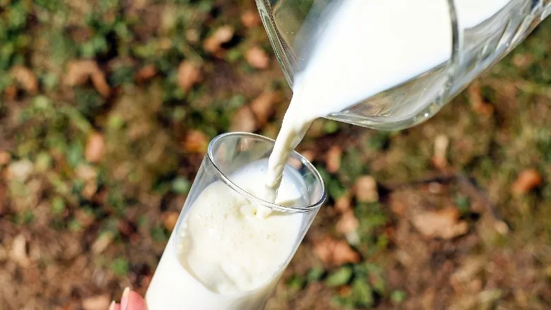 Glass of milk